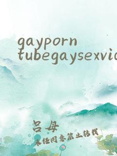gayporntubegaysexvideos
