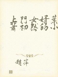 上门女婿叶辰和萧初然的小说最新章节