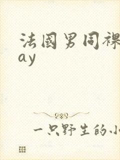 法国男同裸交gay