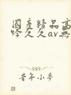 国产精品高潮呻吟久久av无语