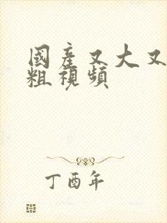 国产又大又猛又粗视频