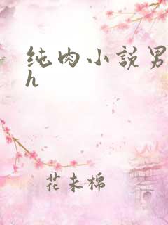 纯肉小说男男高h