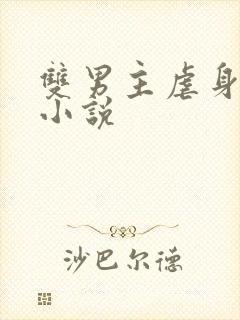 双男主虐身虐心小说