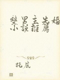 双男主先婚后爱小说推荐