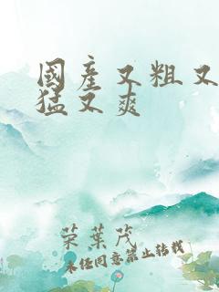 国产又粗又黄又猛又爽