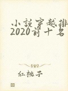 小说穿越排行榜2020前十名