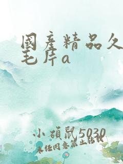 国产精品久久久毛片a