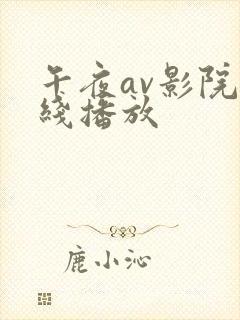 午夜av影院在线播放