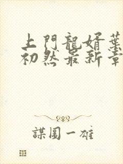 上门龙婿叶辰萧初然最新章节更新