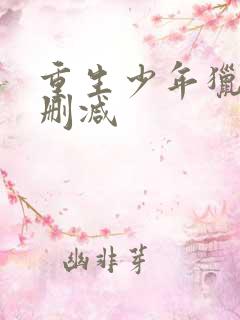 重生少年猎美无删减