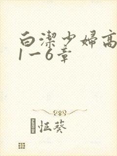 白洁少妇高义第1一6章