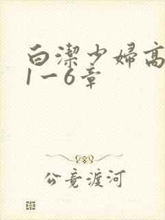 白洁少妇高义第1一6章