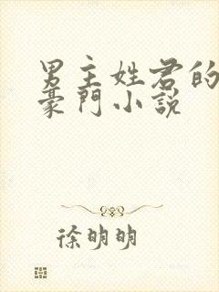 男主姓君的现代豪门小说