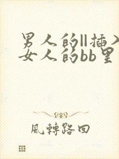 男人的||插入女人的bb里的视频