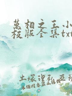 万相之王小说精校版全集txt