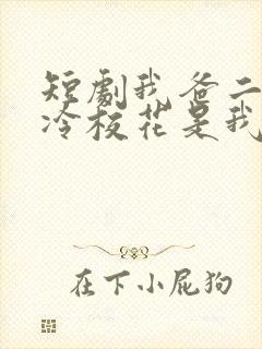 短剧我爸二婚高冷校花是我妹在线