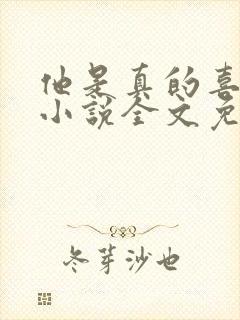 他是真的喜欢你小说全文免费阅读