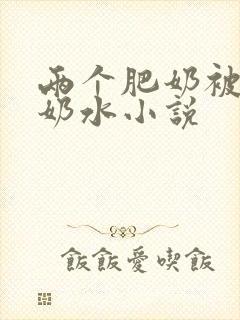 两个肥奶被揉出奶水小说