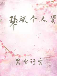 孙斌个人资料简介