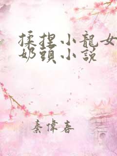 揉捏小龙女粉嫩奶头小说