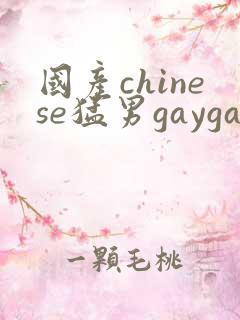 国产chinese猛男gaygay网站