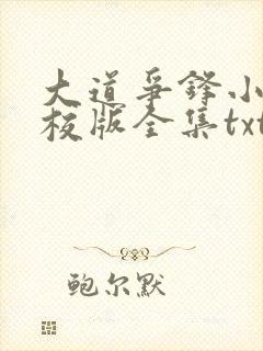大道争锋小说精校版全集txt