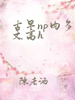 古早np肉多荤文高h