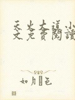 天火大道小说全文免费阅读无弹窗