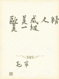 欧美成人精品欧美一级