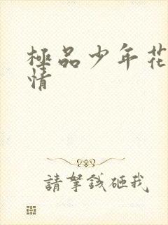 极品少年花都燃情