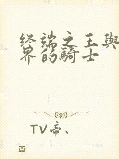 终端之王与异世界的骑士