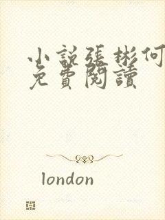 小说张彬何婉月免费阅读