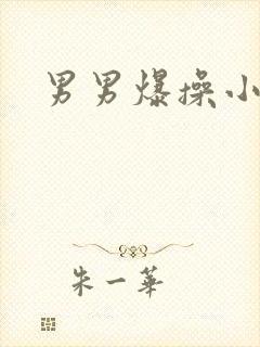 男男爆操小说