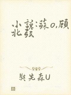 小说:苏o,顾北弦