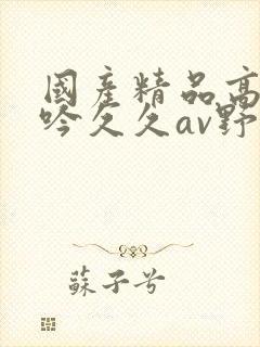 国产精品高潮呻吟久久av野狼