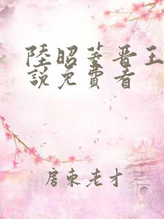 陆昭菱晋王的小说免费看