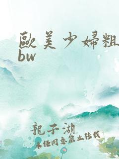 欧美少妇粗暴bbw