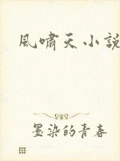 风啸天小说