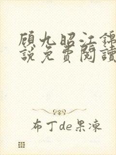 顾九昭江锦禾小说免费阅读最新章节