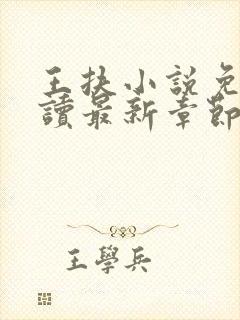 王扶小说免费阅读最新章节无弹窗