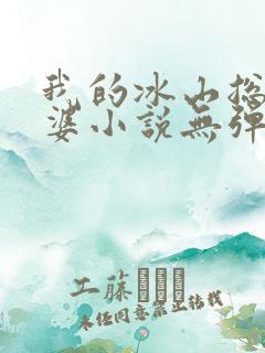 我的冰山总裁老婆小说无弹窗