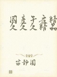 国产午夜精品久久久久精品