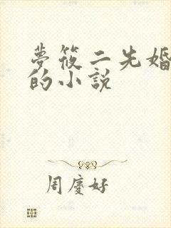 梦筱二先婚后爱的小说
