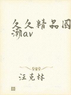 久久精品国产高潮av