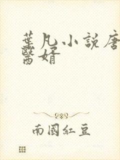 叶凡小说唐若雪医婿