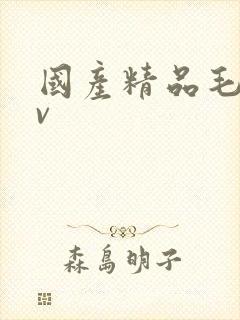 国产精品毛片av