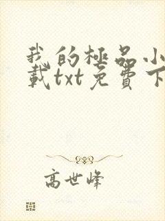 我的极品小姨下载txt免费下载