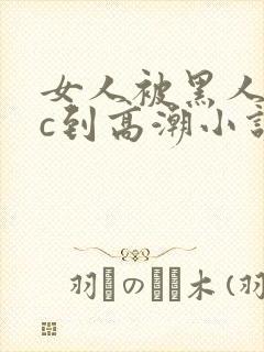 女人被黑人狂躁c到高潮小说