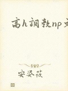 高h调教np文