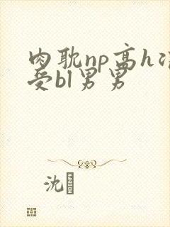 肉耽np高h浪受bl男男